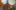 OB_Sensory explore_5 OB_Sensory explore_5